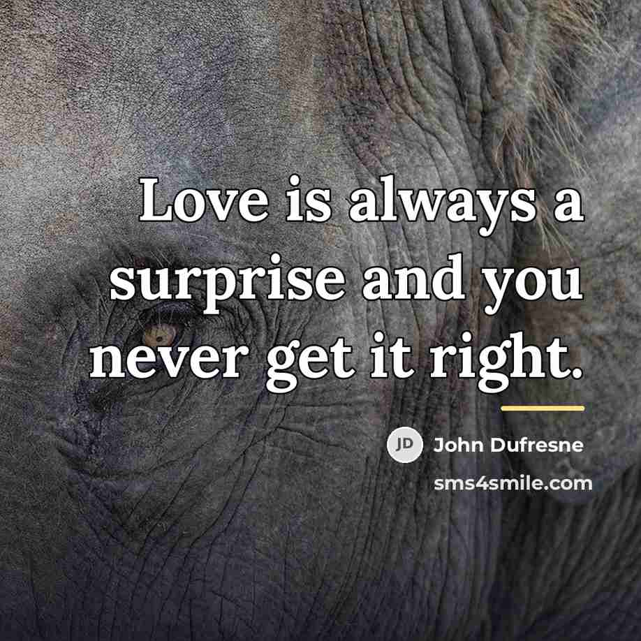 “Love is always a surprise and you never get it…” quote by John Dufresne