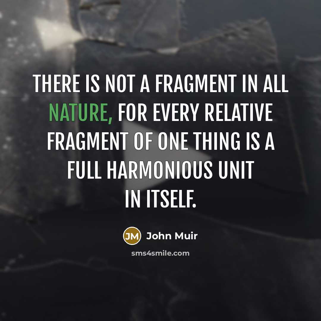 “There is not a fragment in all nature, for every…” quote by John Muir
