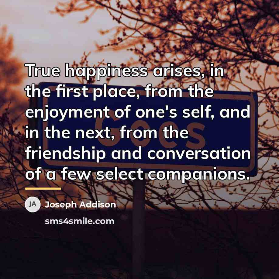 “True happiness arises, in the first place, from the enjoyment…” quote by Joseph Addison
