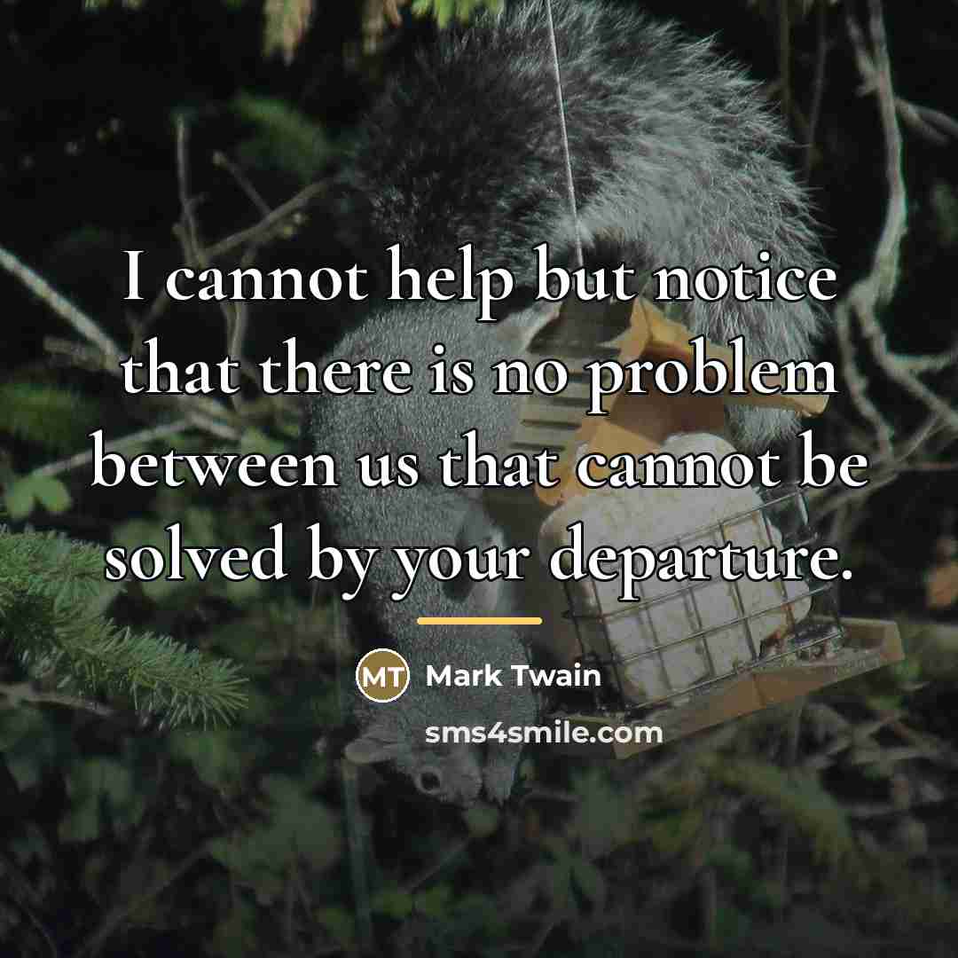 “I cannot help but notice that there is no problem…” quote by Mark Twain