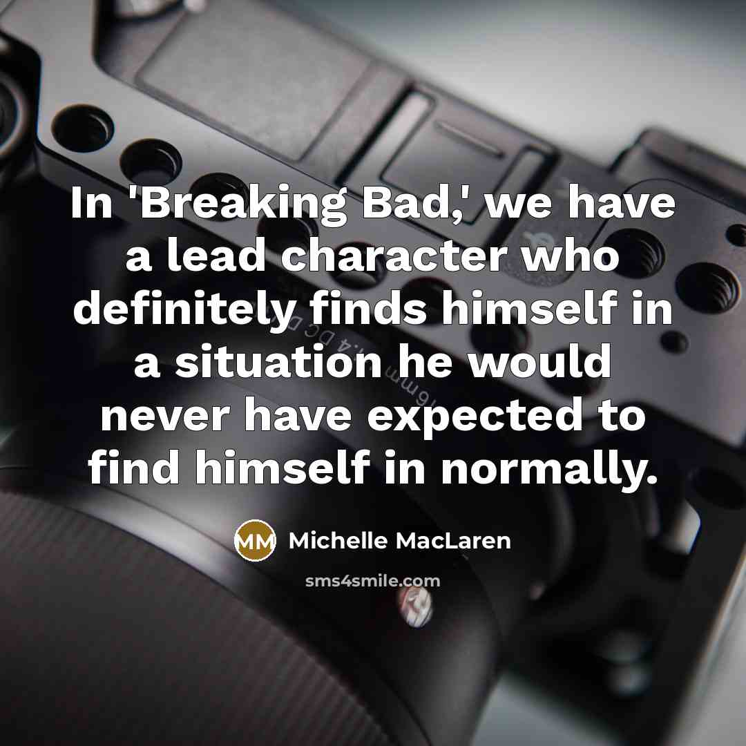 “In 'Breaking Bad,' we have a lead character who definitely…” quote by Michelle MacLaren