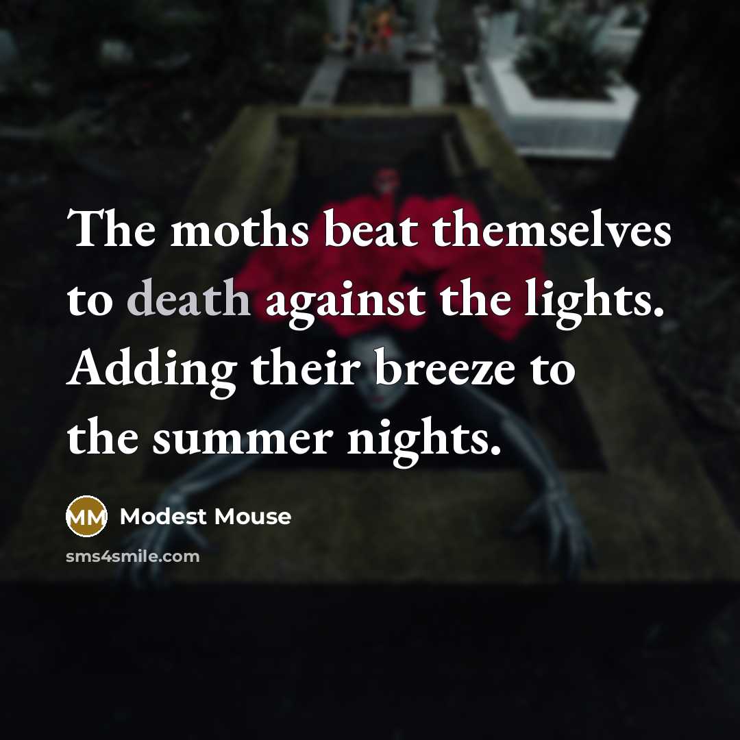 “The moths beat themselves to death against the lights. Adding…” quote by Modest Mouse