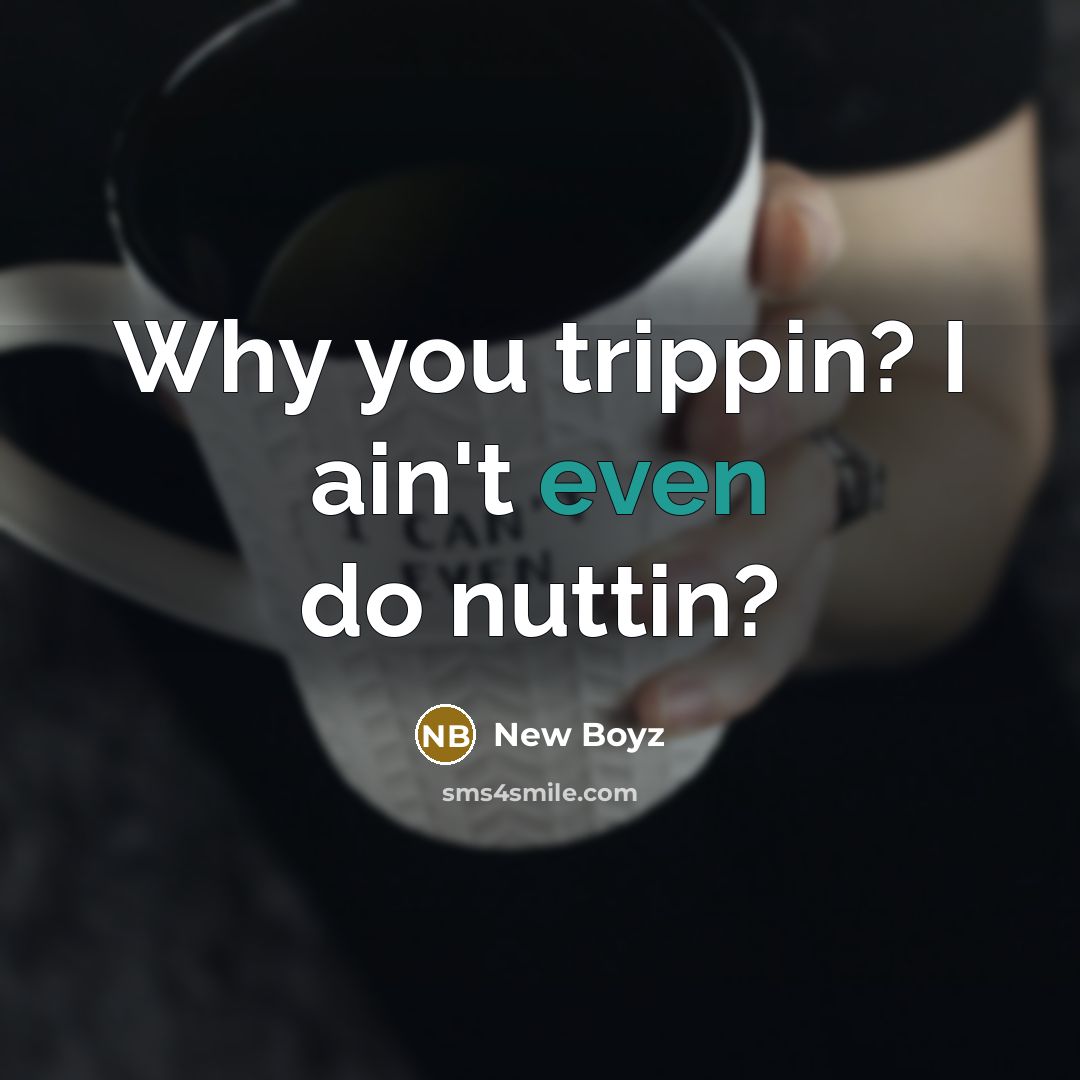 “Why you trippin? I ain't even do nuttin?…” quote by New Boyz