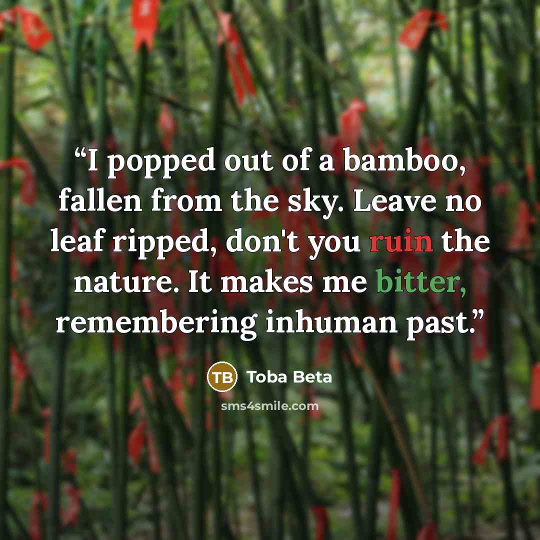 “I popped out of a bamboo, fallen from the sky. Leave no leaf ripped, don't you ruin the nature. It makes me bitter, remembering inhuman past.” quote by Toba Beta