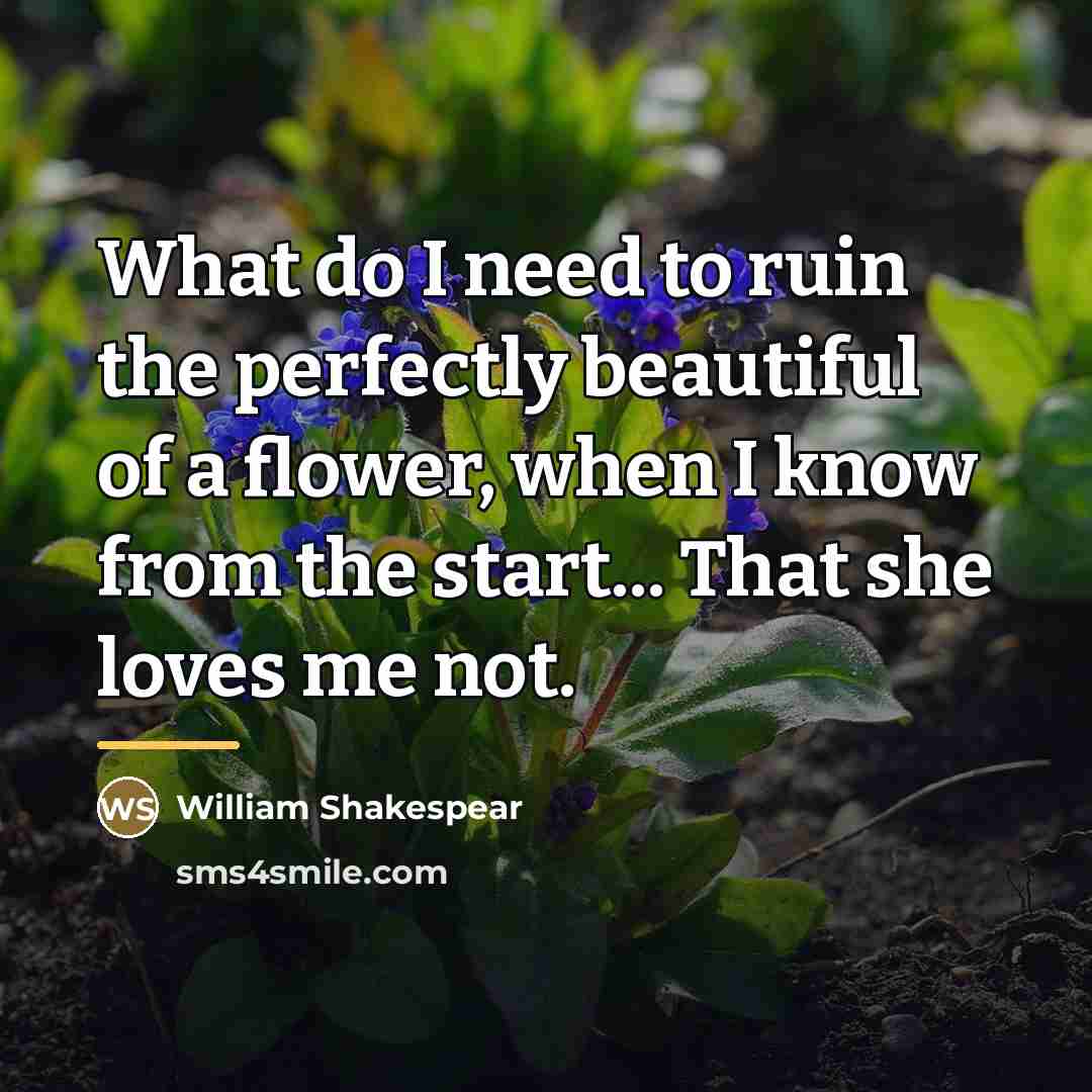 “What do I need to ruin the perfectly beautiful of…” quote by William Shakespear