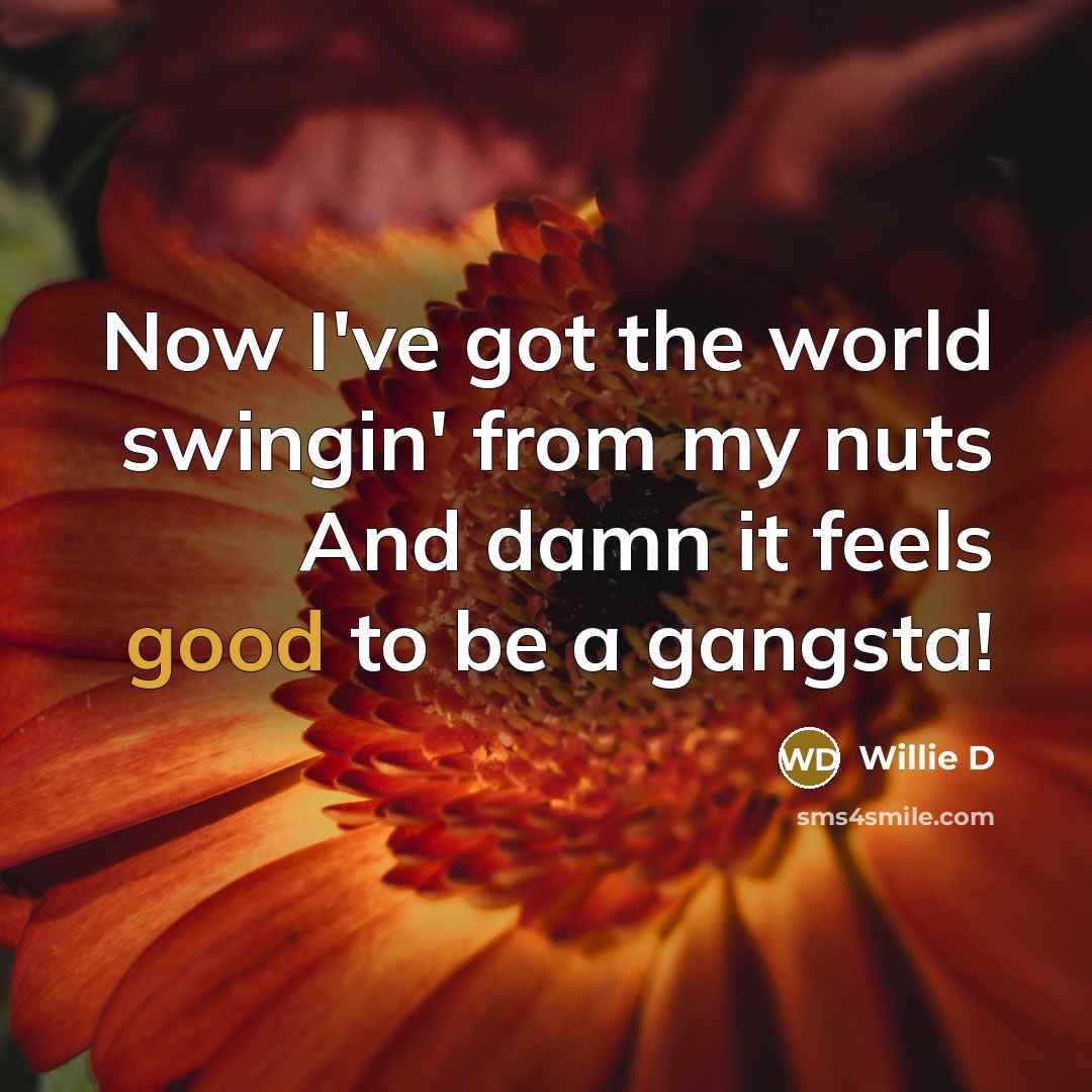 “Now I've got the world swingin' from my nuts And…” quote by Willie D