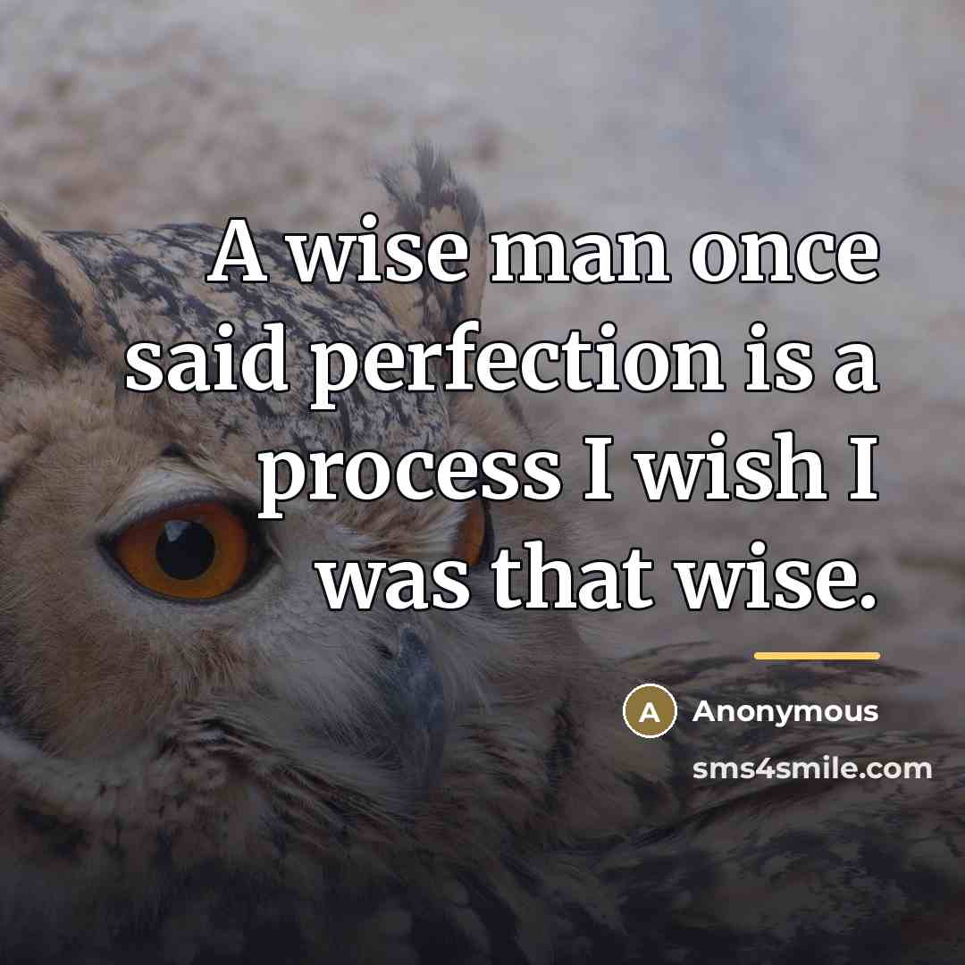 “A wise man once said perfection is a process I…” quote by Anonymous