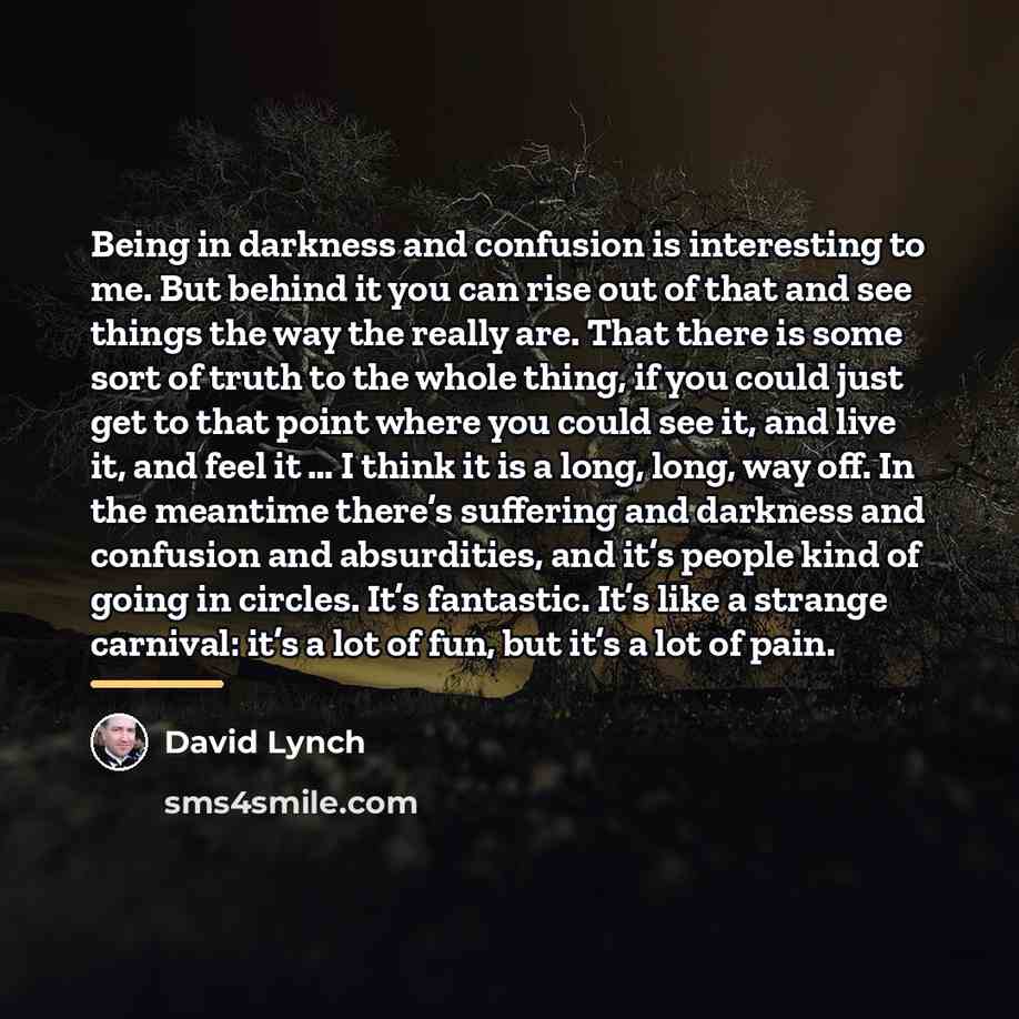 “Being in darkness and confusion is interesting to me. But…” quote by David Lynch