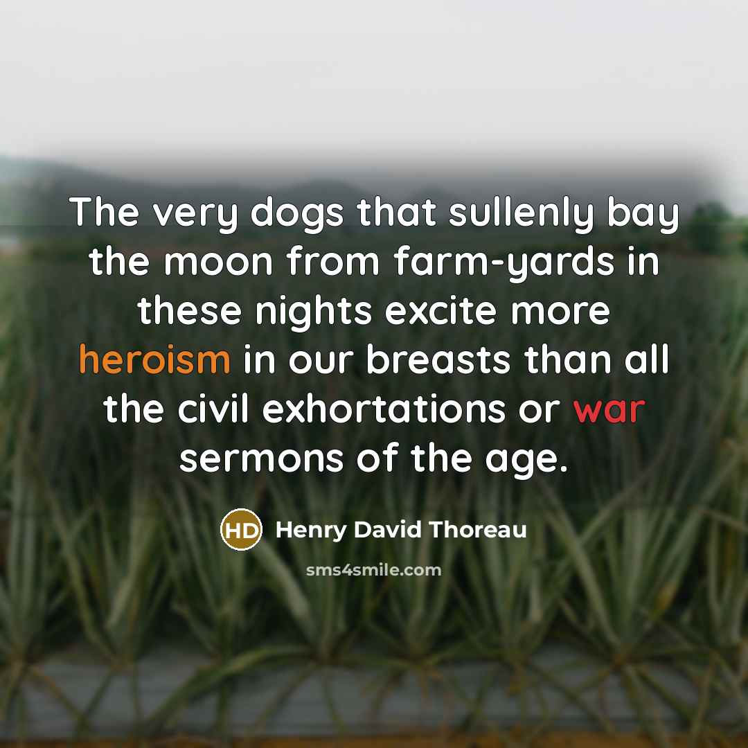 “The very dogs that sullenly bay the moon from farm-yards…” quote by Henry David Thoreau