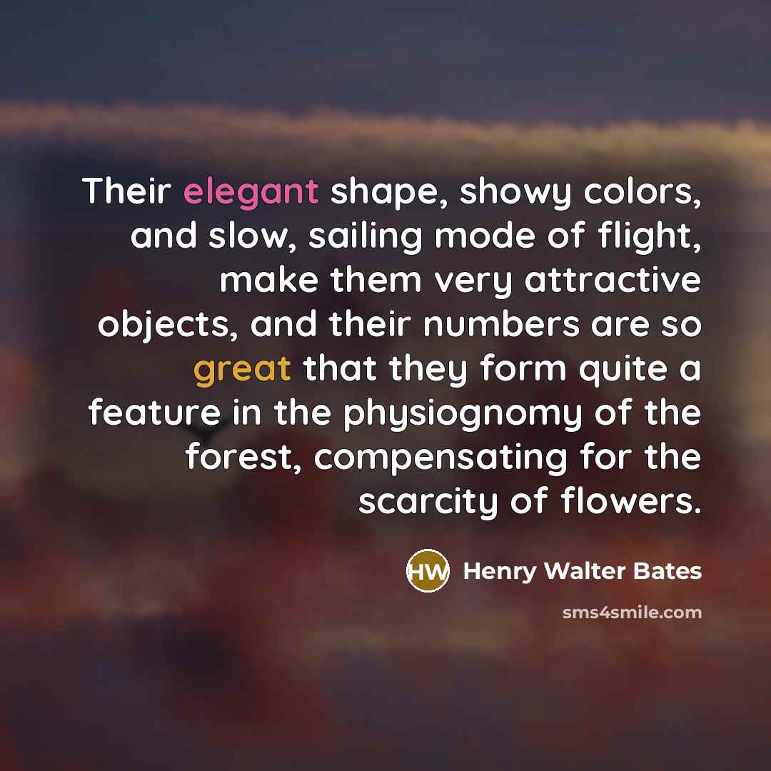 “Their elegant shape, showy colors, and slow, sailing mode of…” quote by Henry Walter Bates