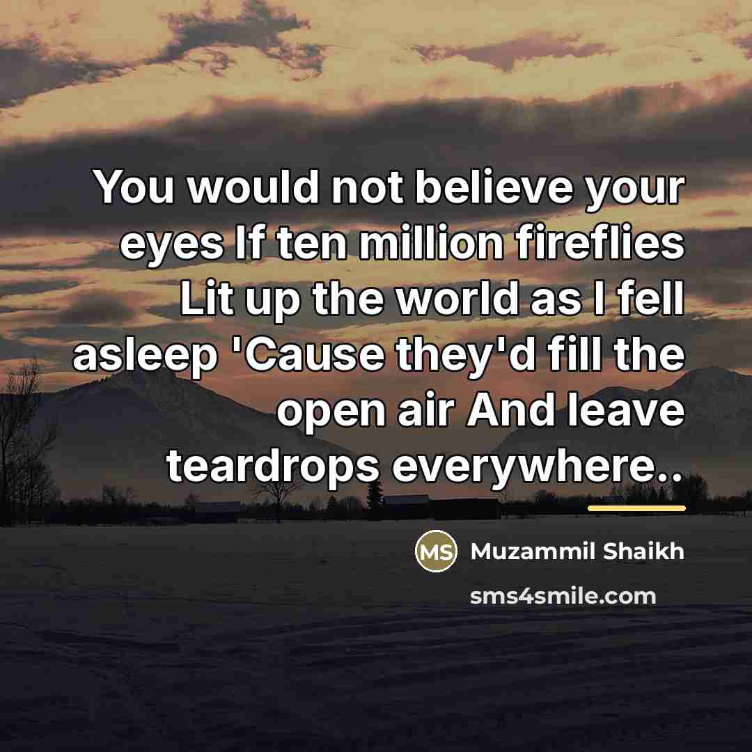 “You would not believe your eyes If ten million fireflies…” quote by Muzammil Shaikh