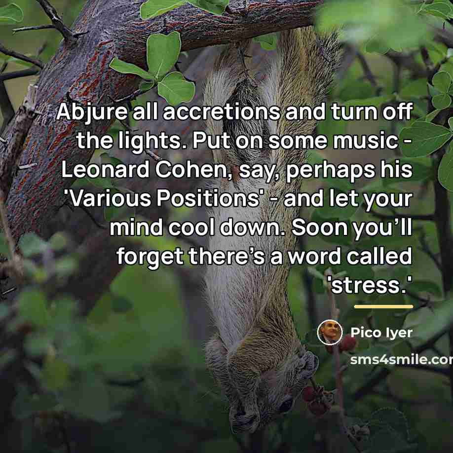 “Abjure all accretions and turn off the lights. Put on…” quote by Pico Iyer