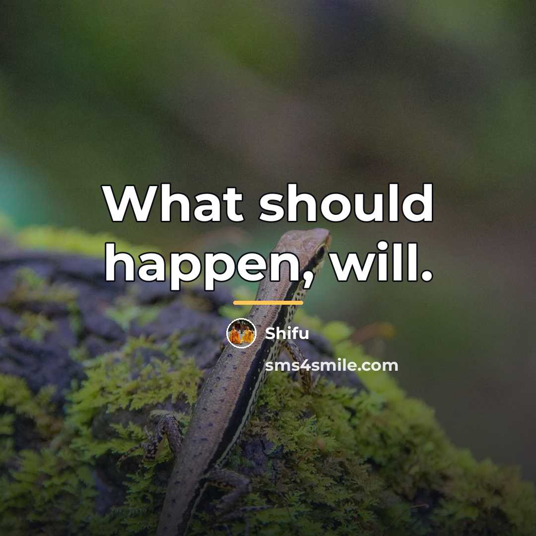 “What should happen, will.…” quote by Shifu