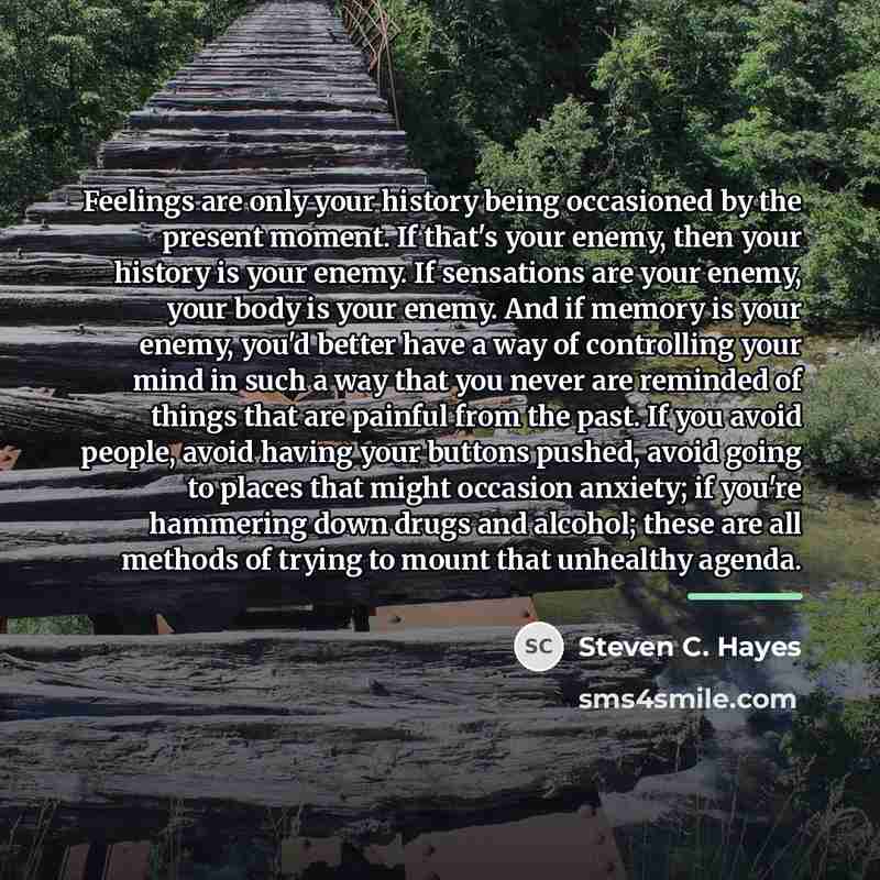 “Feelings are only your history being occasioned by the present…” quote by Steven C. Hayes