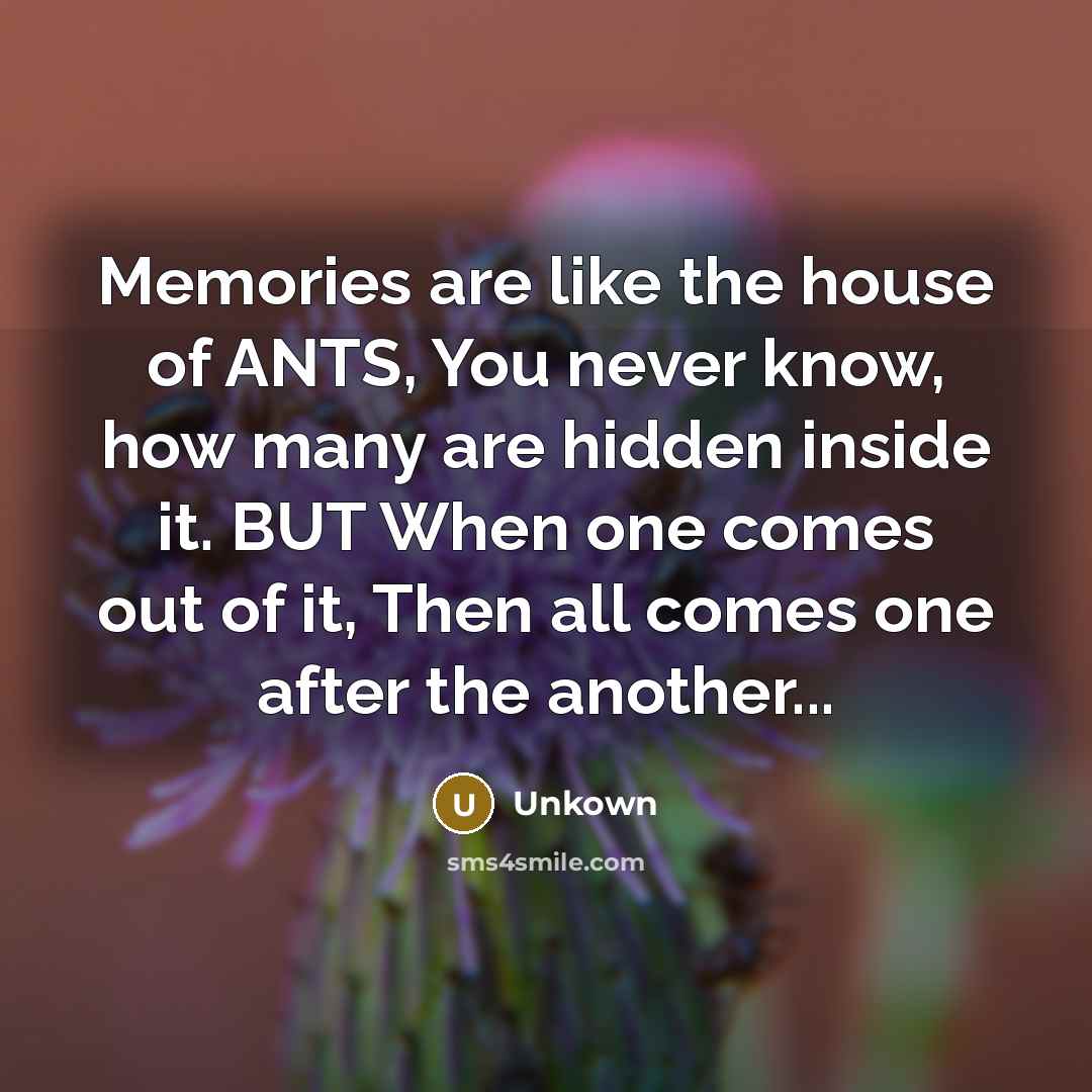 “Memories are like the house of ANTS, You never know, how many are hidden inside it. BUT When one comes out of it, Then all comes one after the another...” quote by Unkown