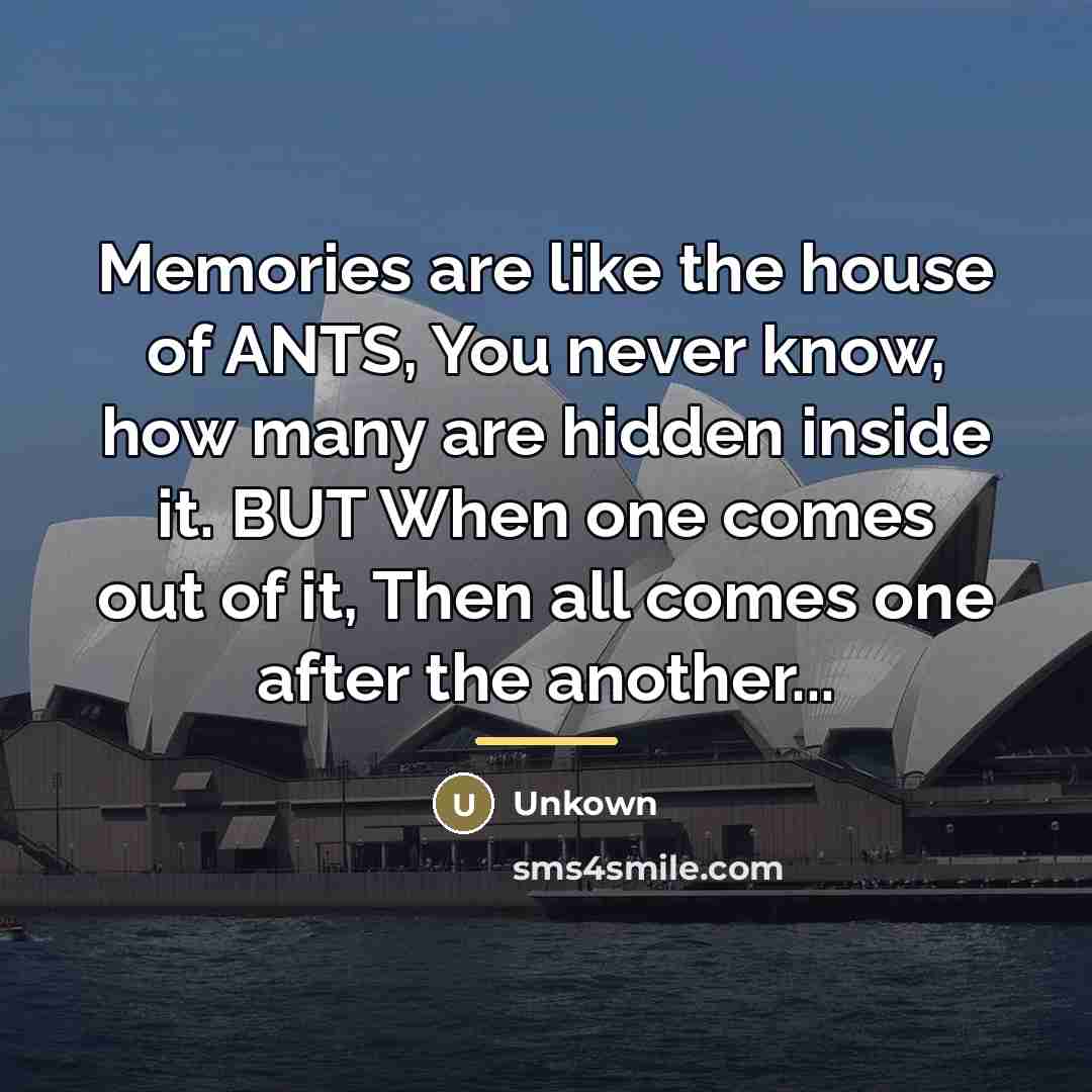 “Memories are like the house of ANTS, You never know,…” quote by Unkown