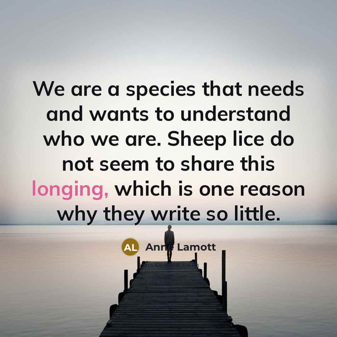 “We are a species that needs and wants to understand…” quote by Anne Lamott