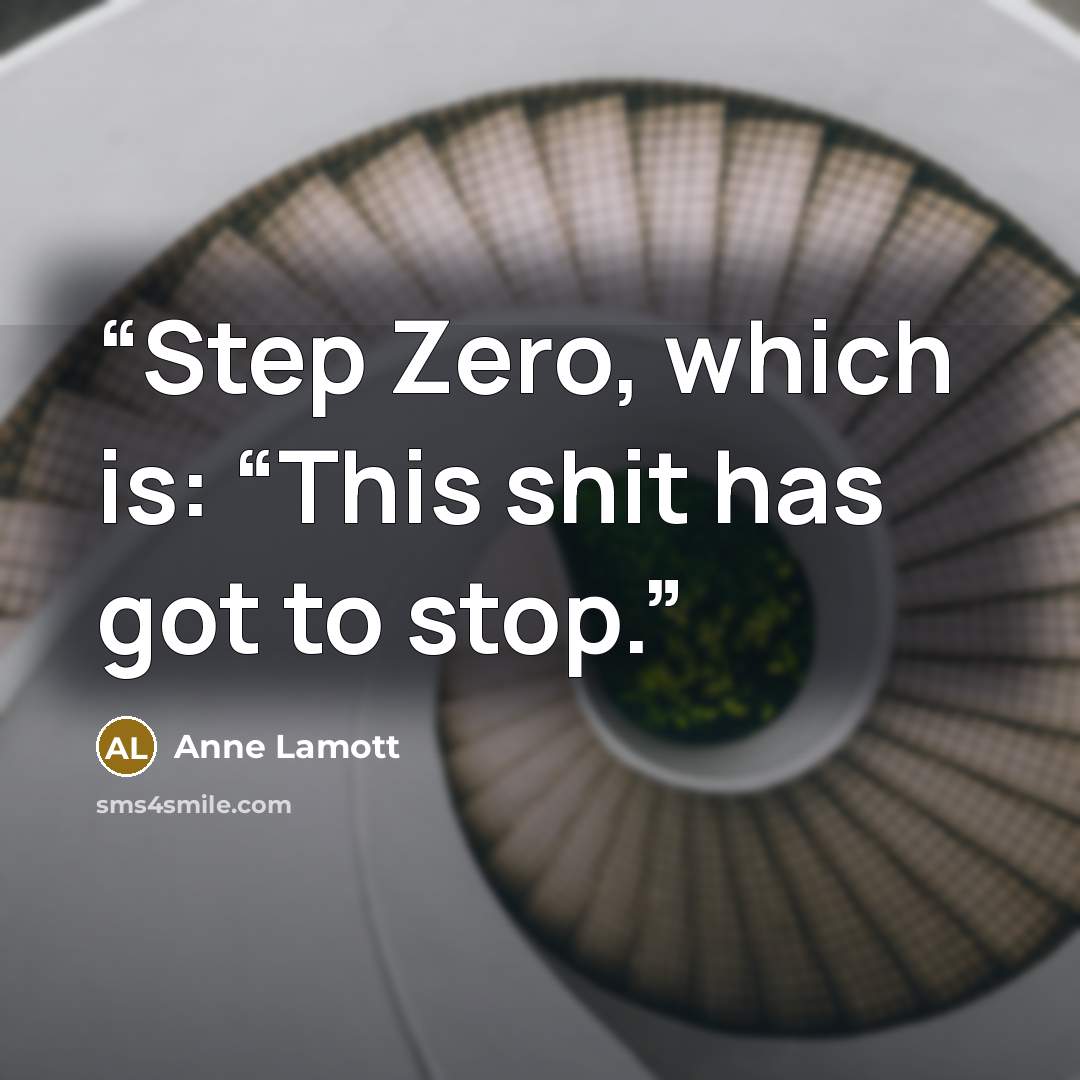 “Step Zero, which is: “This shit has got to stop.” quote by Anne Lamott