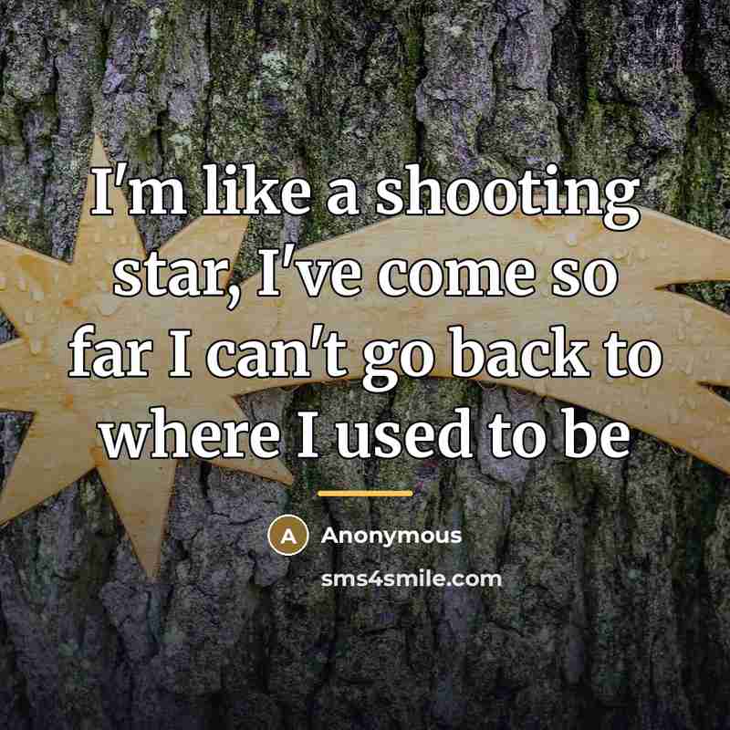 “I'm like a shooting star, I've come so far I…” quote by Anonymous