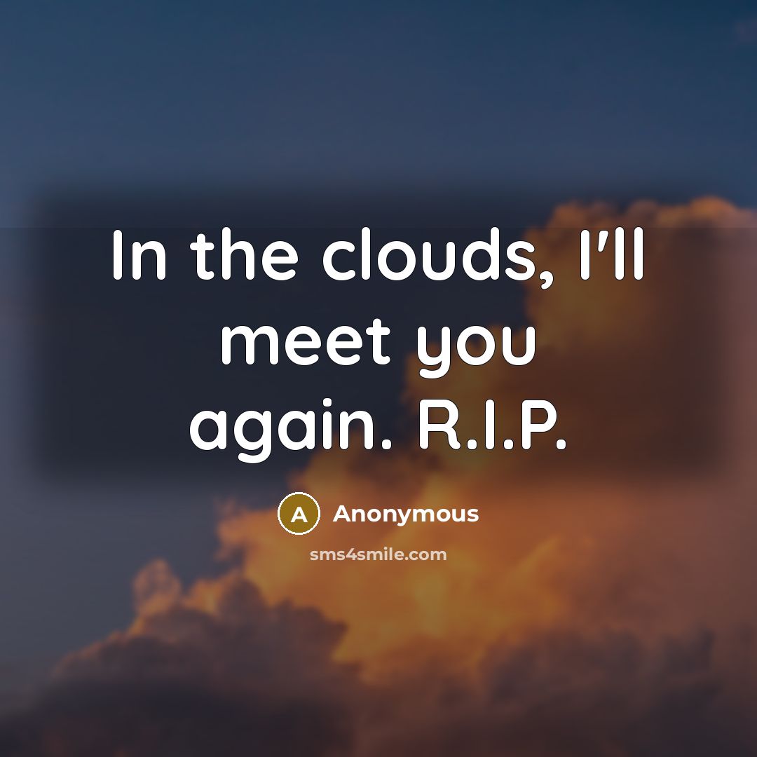 “In the clouds, I'll meet you again. R.I.P.” quote by Anonymous