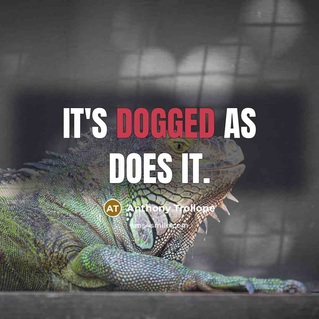 “It's dogged as does it.” quote by Anthony Trollope