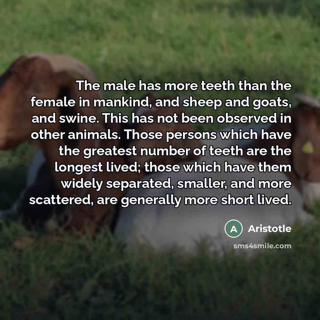 “The male has more teeth than the female in mankind,…” quote by Aristotle