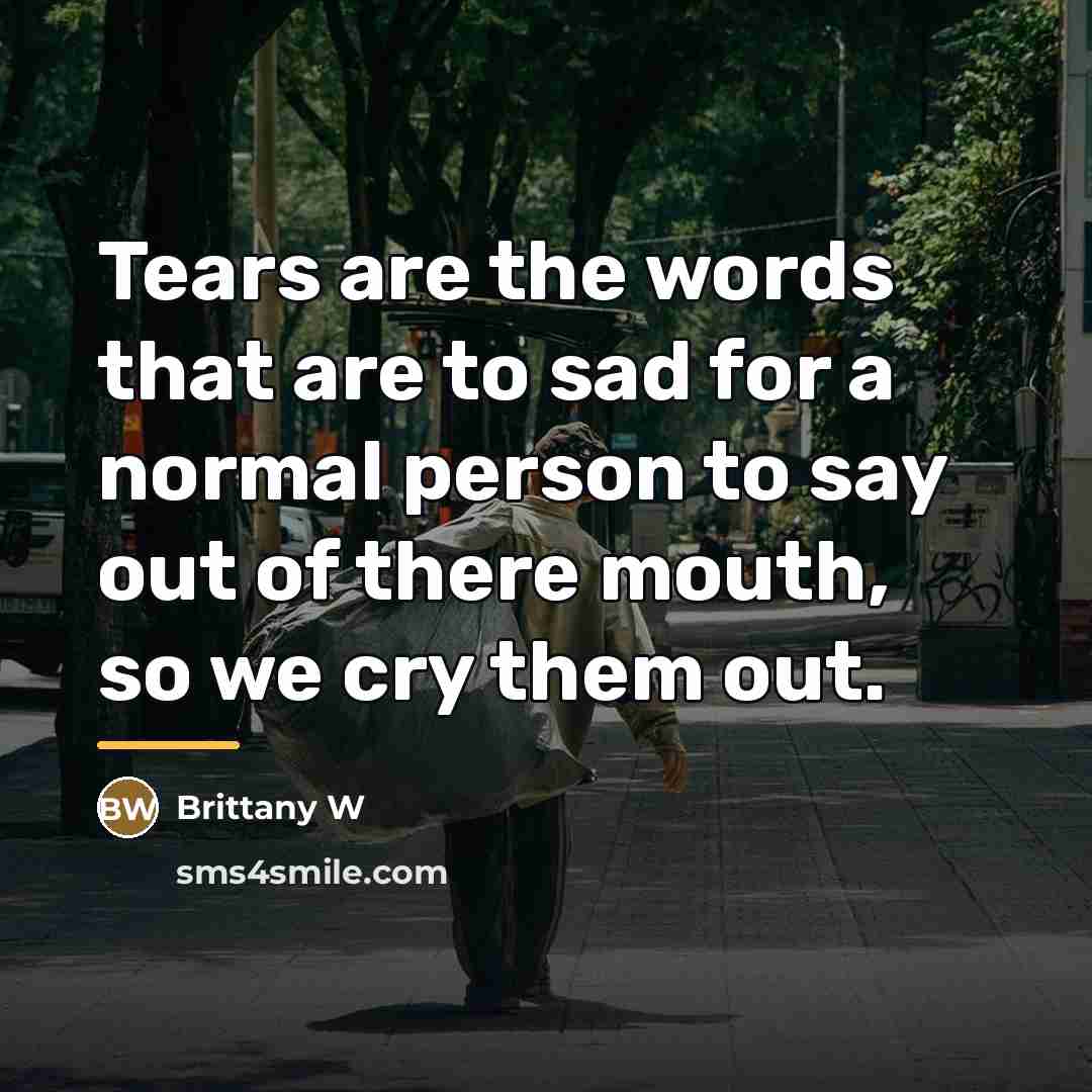 “Tears are the words that are to sad for a…” quote by Brittany W