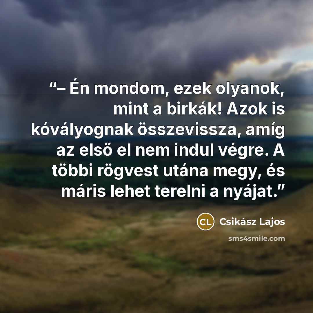 “– Én mondom, ezek olyanok, mint a birkák! Azok is kóvályognak összevissza, amíg az első el nem indul végre. A többi rögvest utána megy, és máris lehet terelni a nyájat.” quote by Csikász Lajos