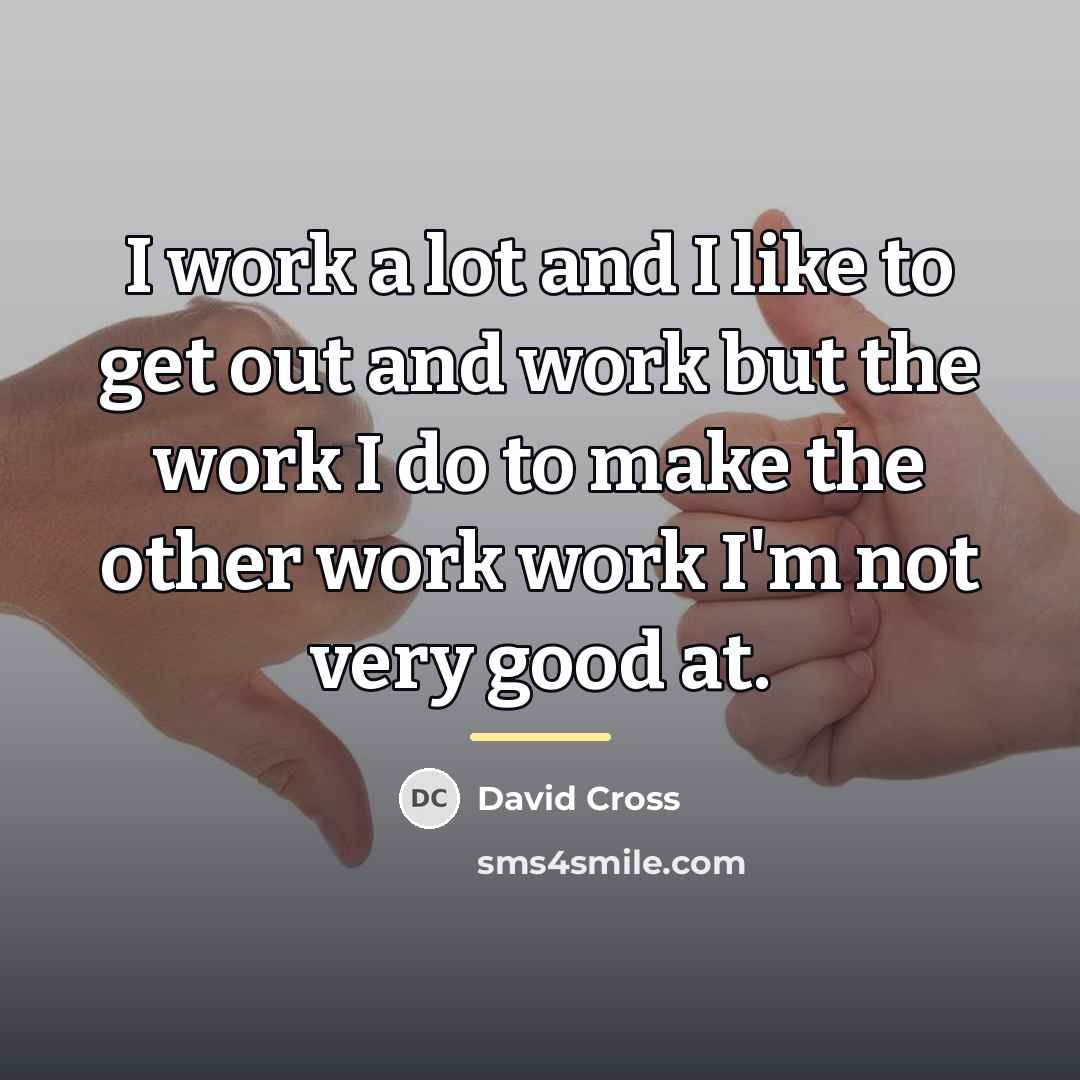 “I work a lot and I like to get out…” quote by David Cross