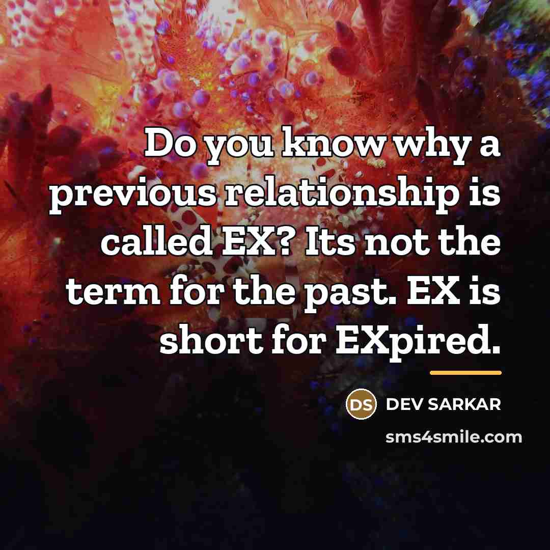 “Do you know why a previous relationship is called EX?…” quote by DEV SARKAR