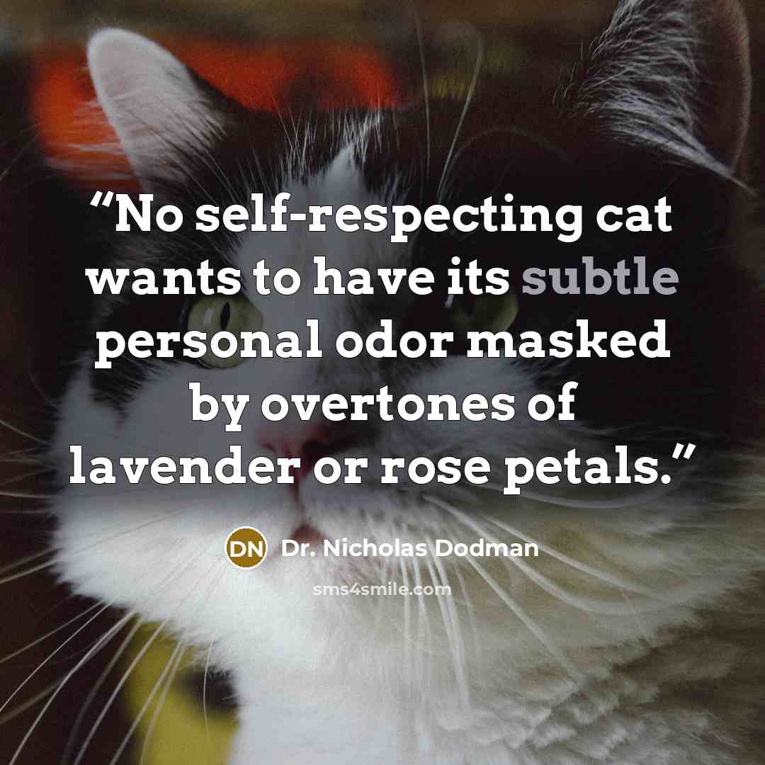 “No self-respecting cat wants to have its subtle personal odor masked by overtones of lavender or rose petals.” quote by Dr. Nicholas Dodman