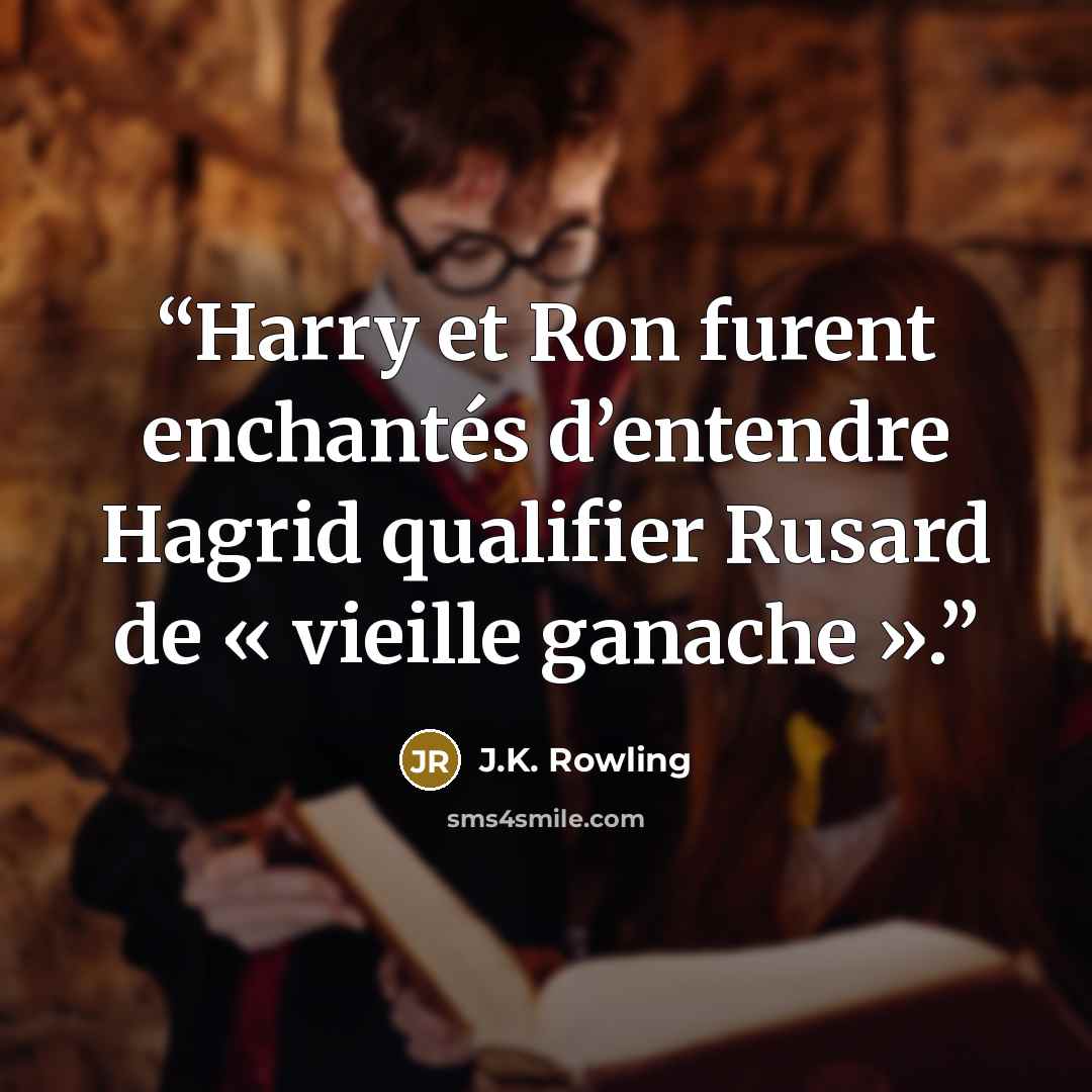 “Harry et Ron furent enchantés d’entendre Hagrid qualifier Rusard de « vieille ganache ».” quote by J.K. Rowling