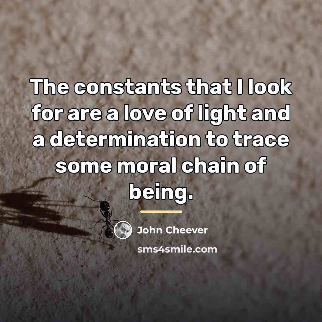 “The constants that I look for are a love of…” quote by John Cheever