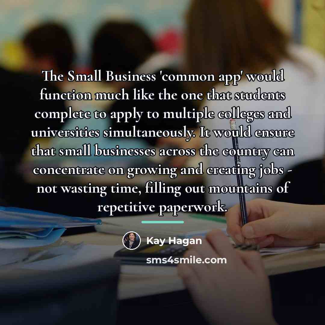 “The Small Business 'common app' would function much like the…” quote by Kay Hagan