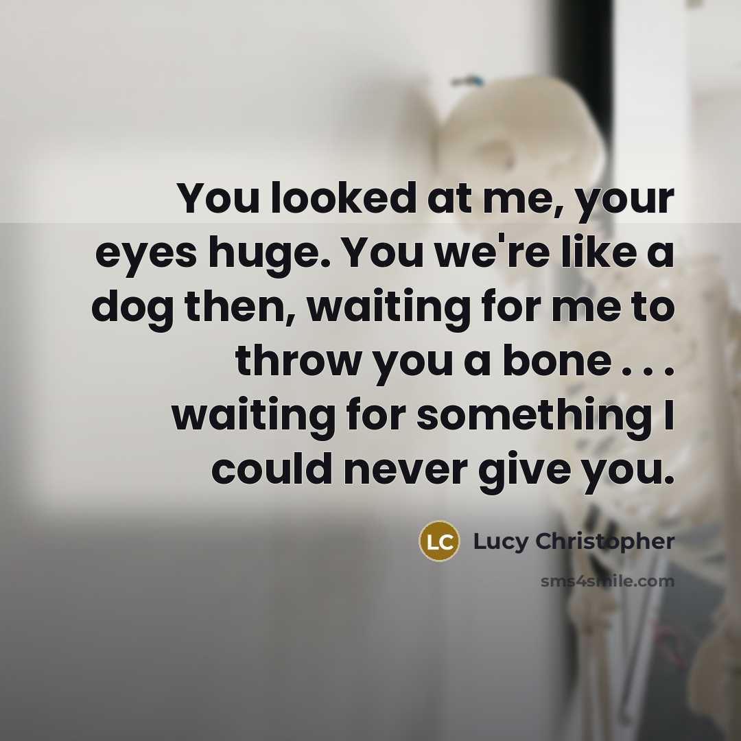 “You looked at me, your eyes huge. You we're like…” quote by Lucy Christopher