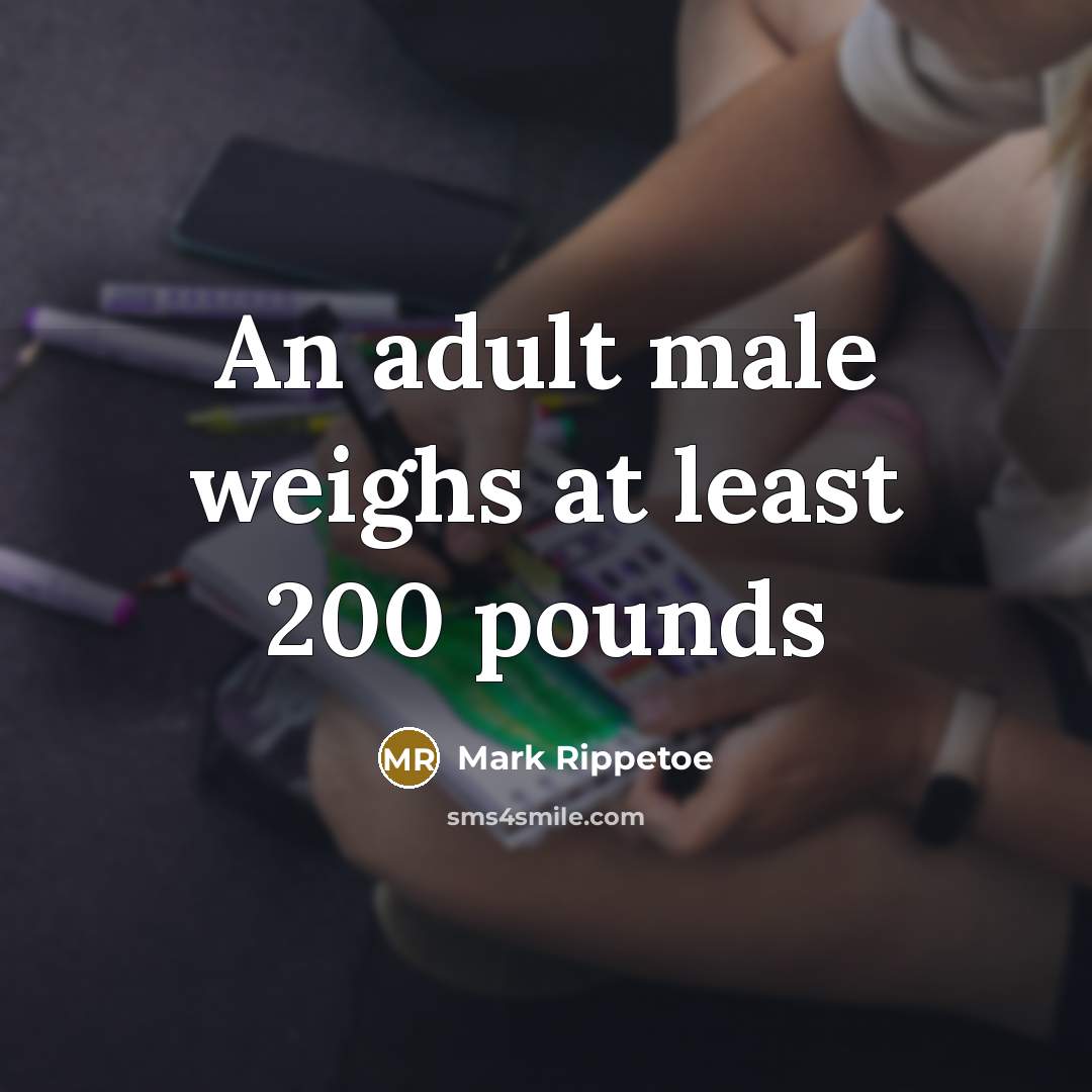 “An adult male weighs at least 200 pounds” quote by Mark Rippetoe