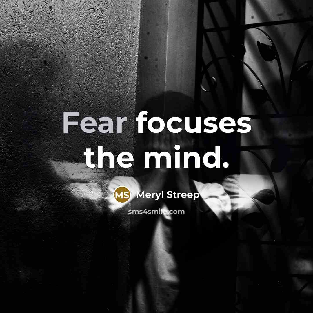 “Fear focuses the mind.…” quote by Meryl Streep