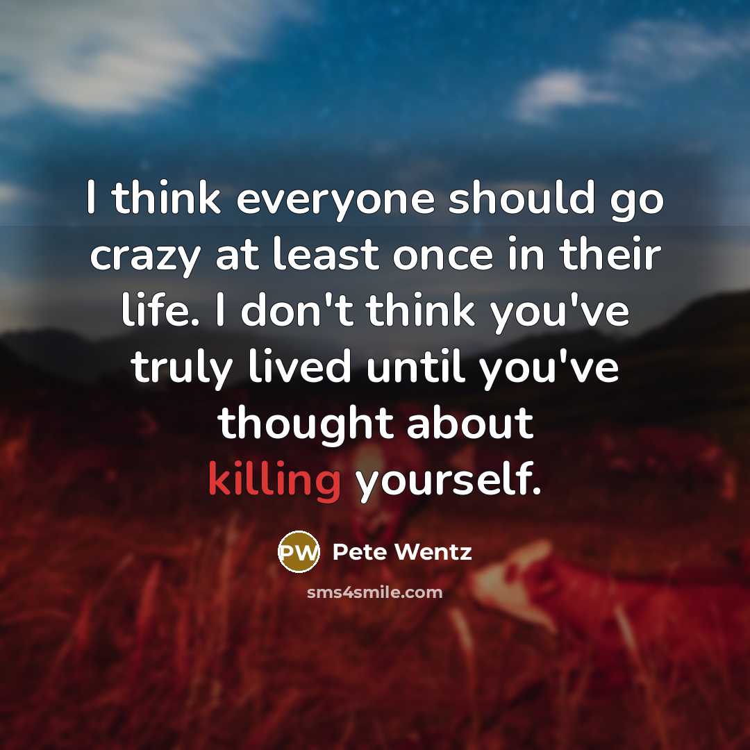 “I think everyone should go crazy at least once in…” quote by Pete Wentz
