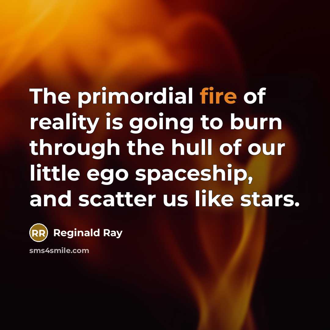 “The primordial fire of reality is going to burn through…” quote by Reginald Ray