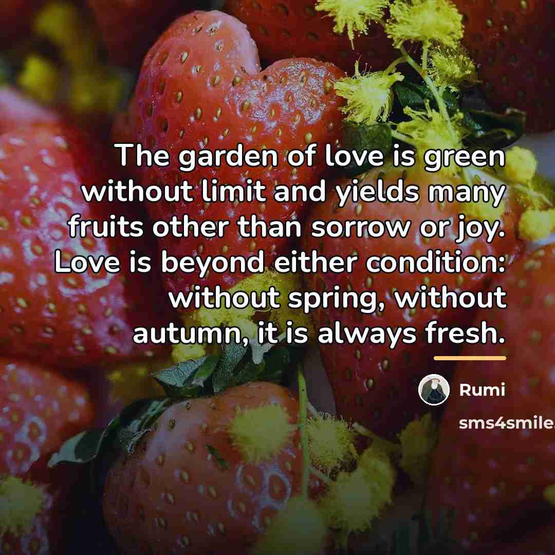 “The garden of love is green without limit and yields…” quote by Rumi