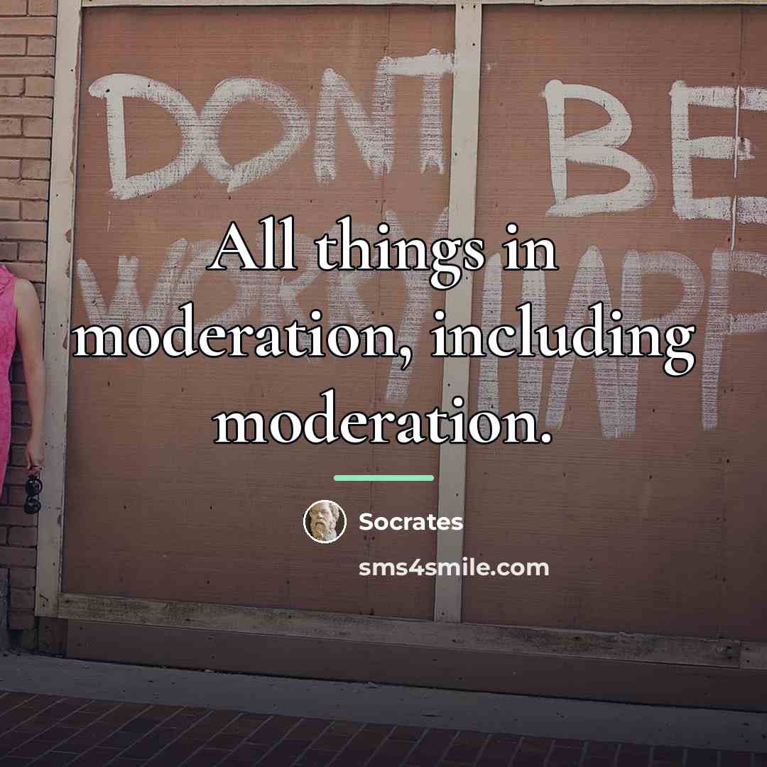 “All things in moderation, including moderation.…” quote by Socrates