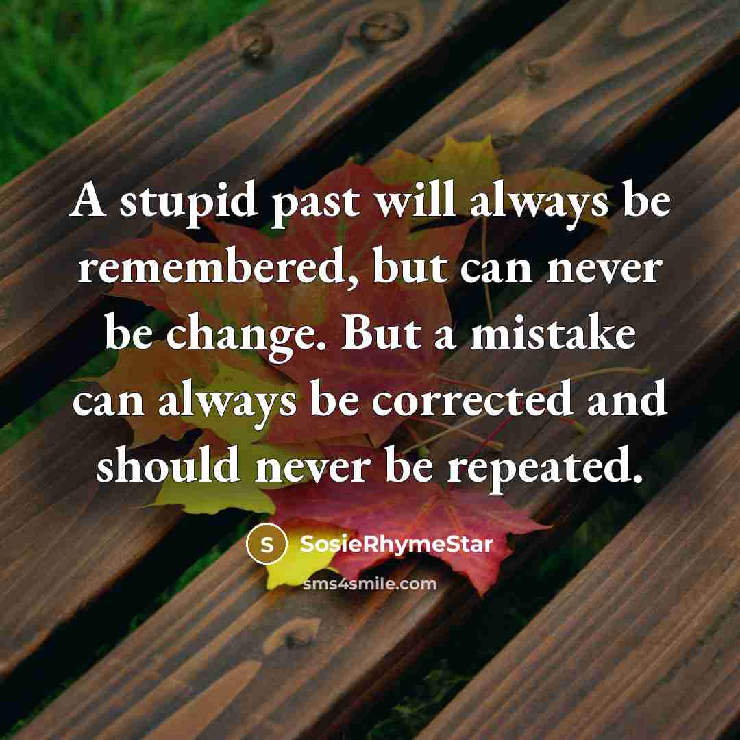 “A stupid past will always be remembered, but can never…” quote by SosieRhymeStar