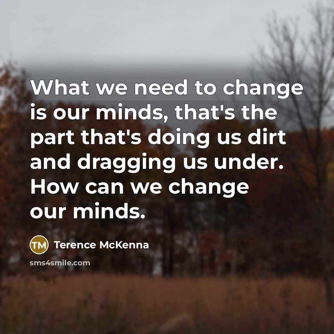 “What we need to change is our minds, that's the…” quote by Terence McKenna