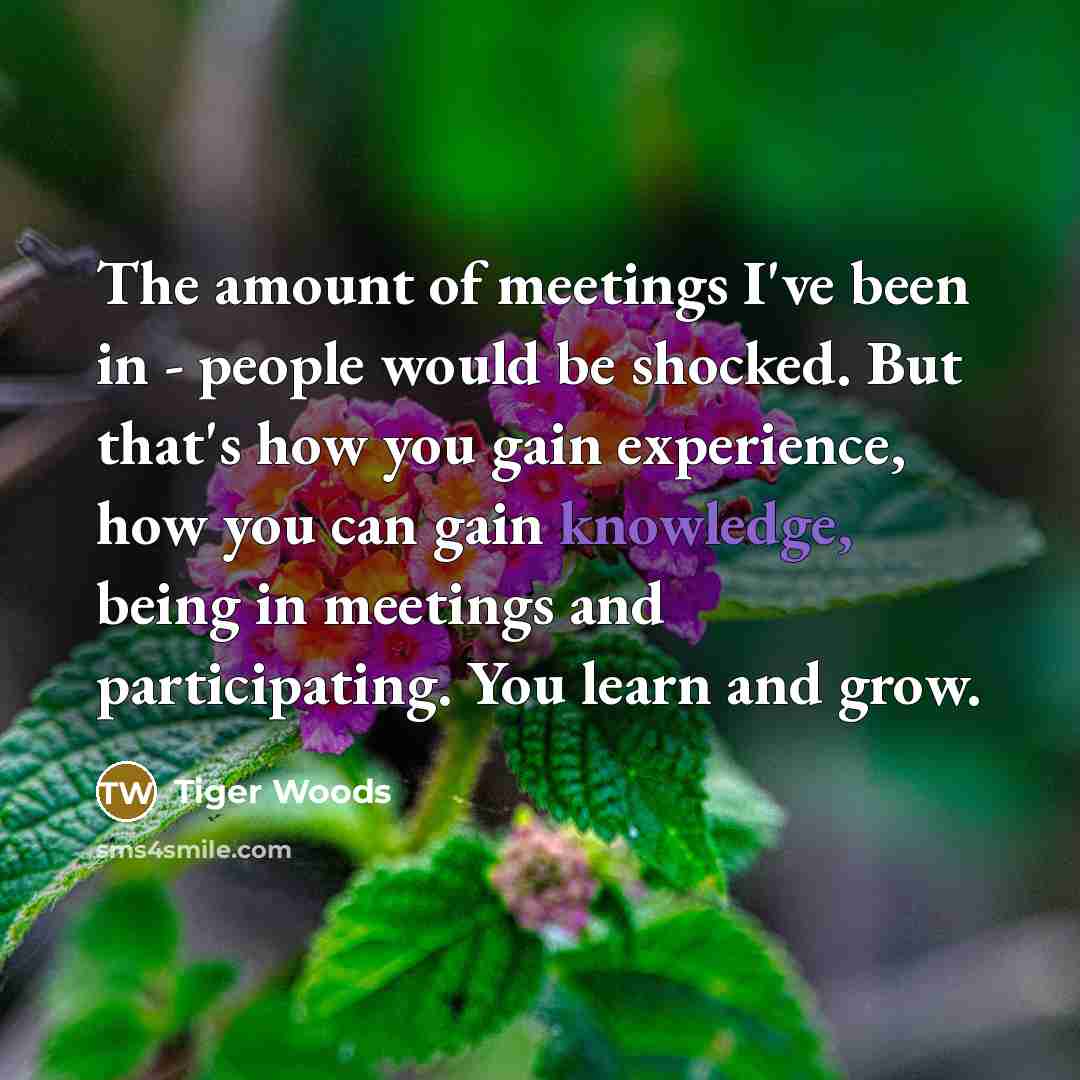 “The amount of meetings I've been in - people would…” quote by Tiger Woods