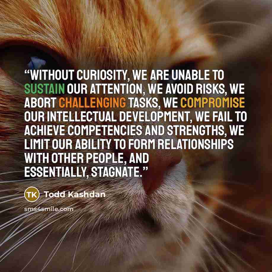 “Without curiosity, we are unable to sustain our attention, we avoid risks, we abort challenging tasks, we compromise our intellectual development, we fail to achieve competencies and strengths, we limit our ability to form relationships with other people, and essentially, stagnate.” quote by Todd Kashdan