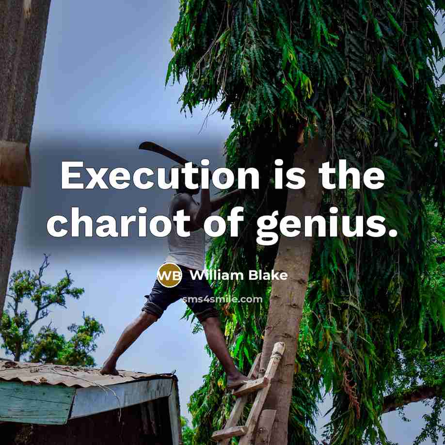 “Execution is the chariot of genius.…” quote by William Blake