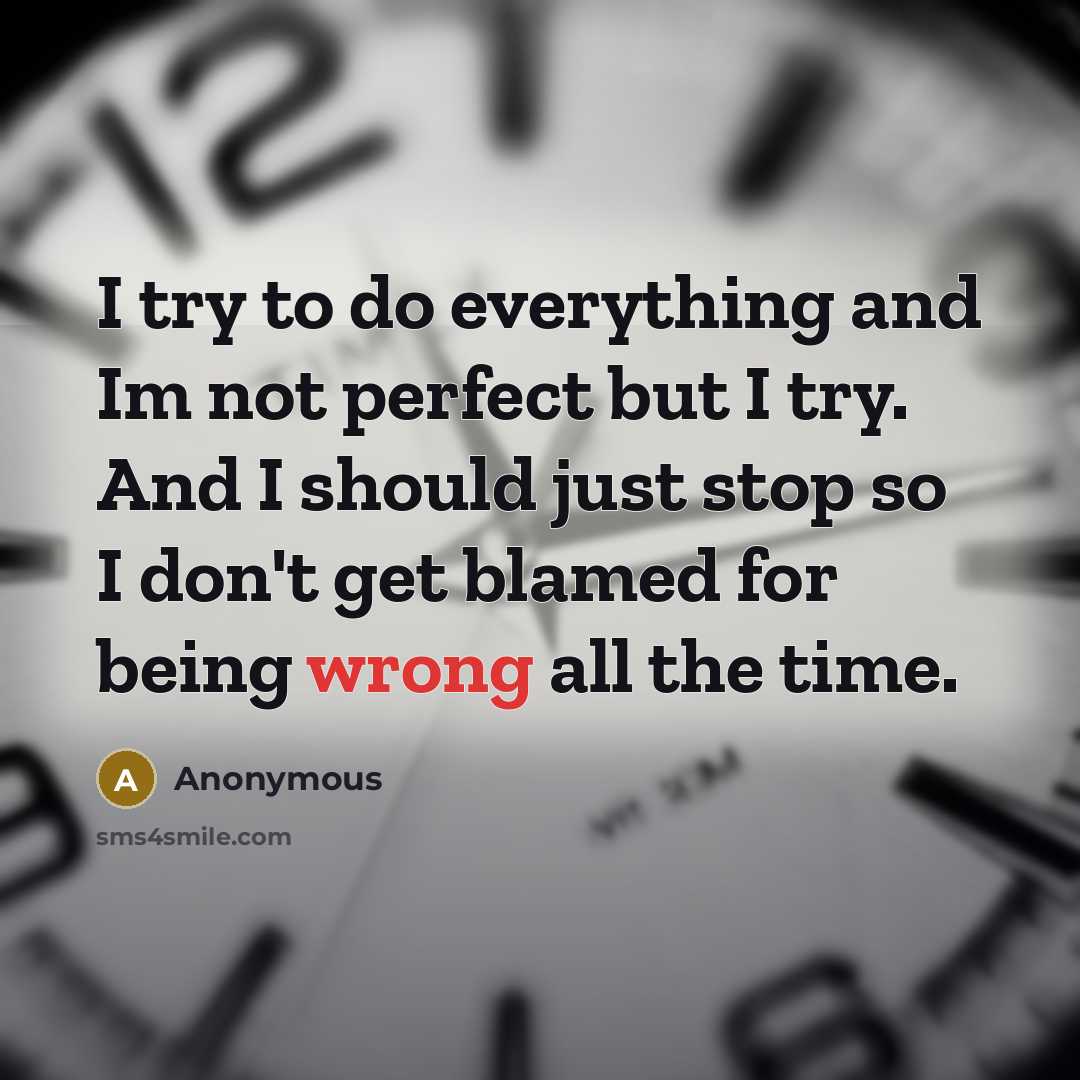 “I try to do everything and Im not perfect but I try. And I should just stop so I don't get blamed for being wrong all the time.” quote by Anonymous
