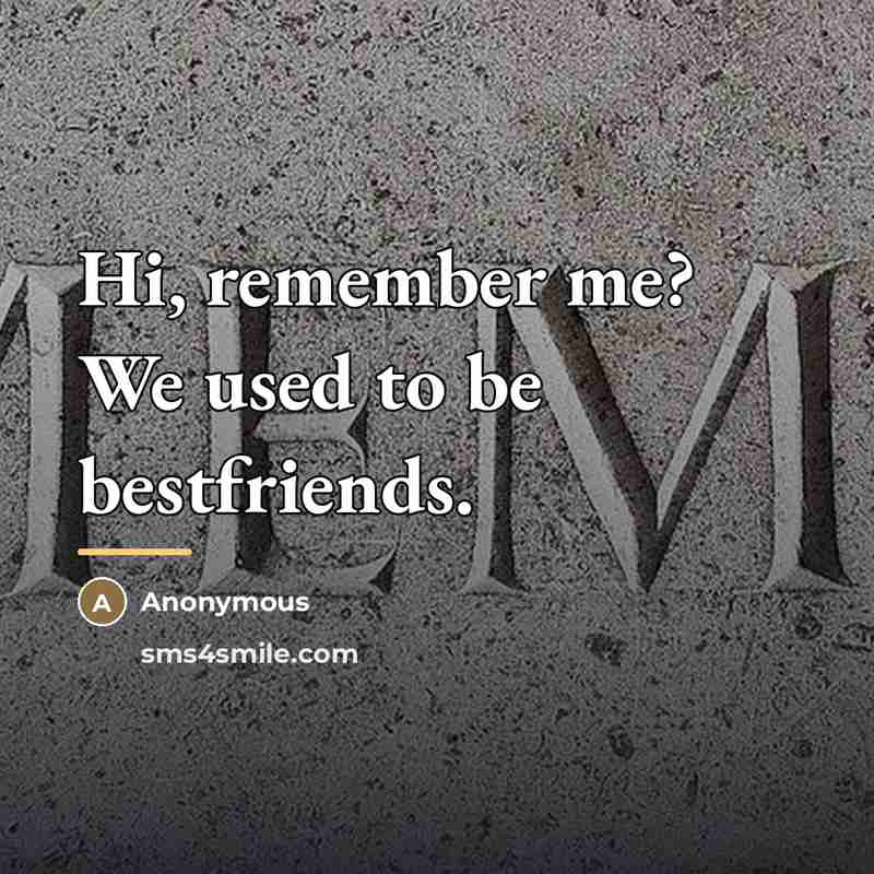 “Hi, remember me? We used to be bestfriends.…” quote by Anonymous