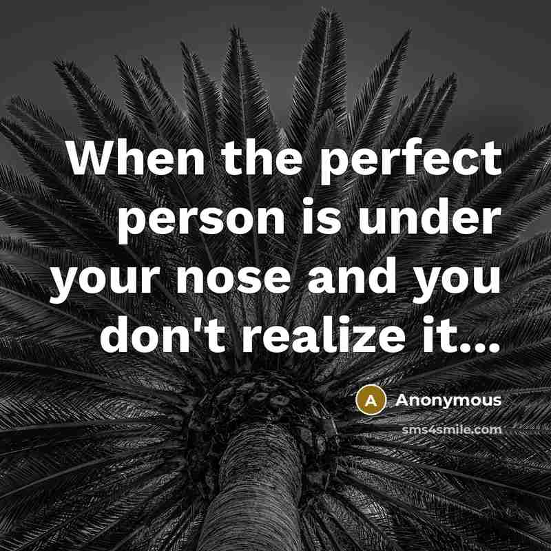 “When the perfect person is under your nose and you don't realize it...” quote by Anonymous
