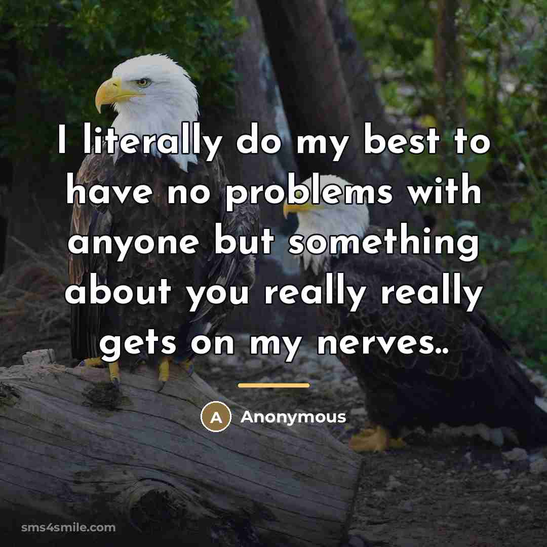 “I literally do my best to have no problems with…” quote by Anonymous